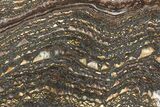Polished Tiger Iron Stromatolite Slab - Billion Years #222030-1